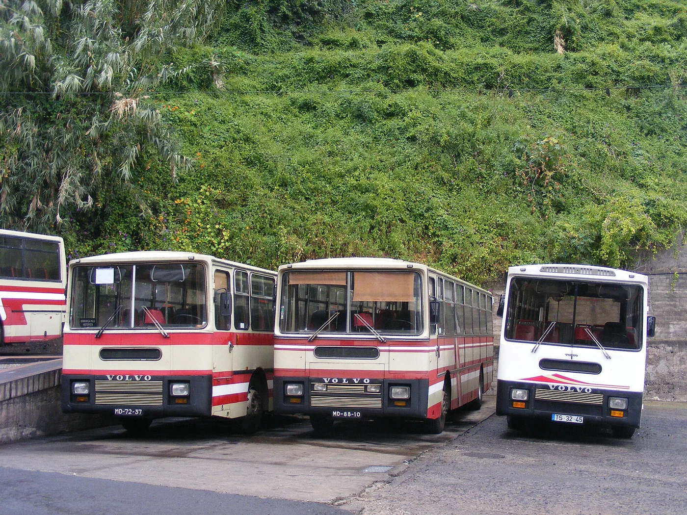 Starsze autobusy Rodoeste — wspomnienie floty sprzed odnowy SIGA.