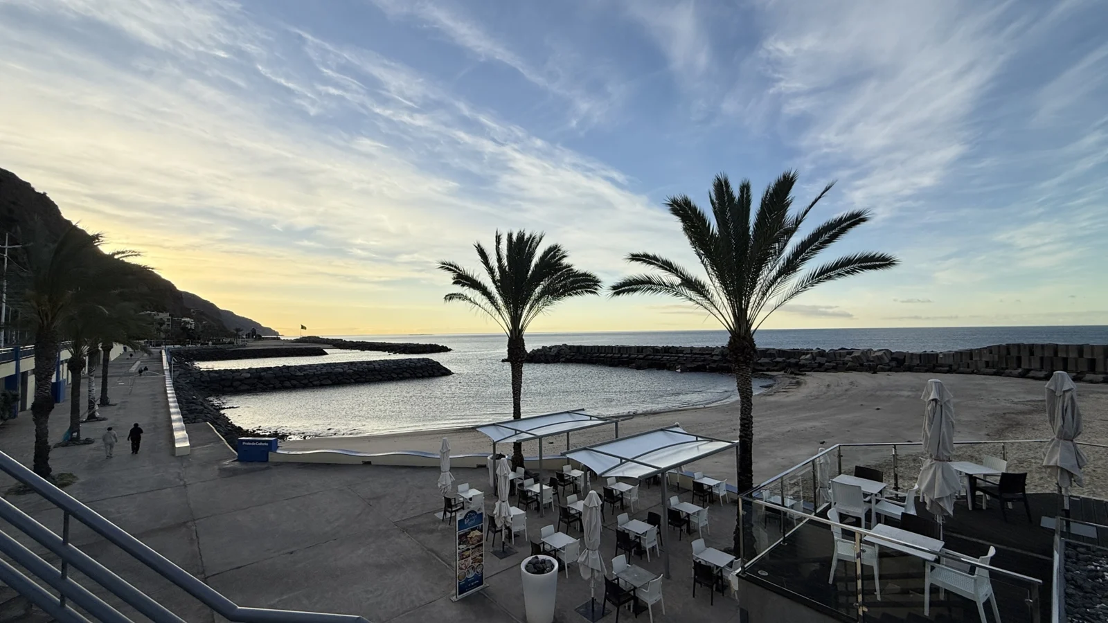Palmy nad oceanem na Maderze